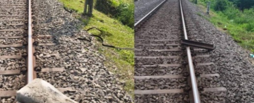 Train sabotage foiled